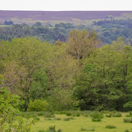The Grange 度假居 惠特比