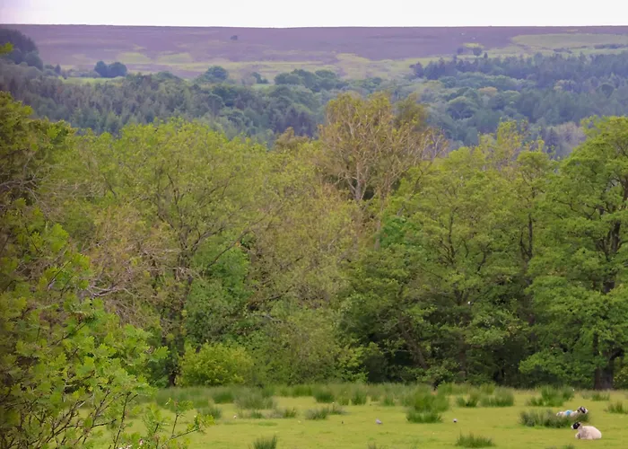 The Grange Semesterbostad Whitby